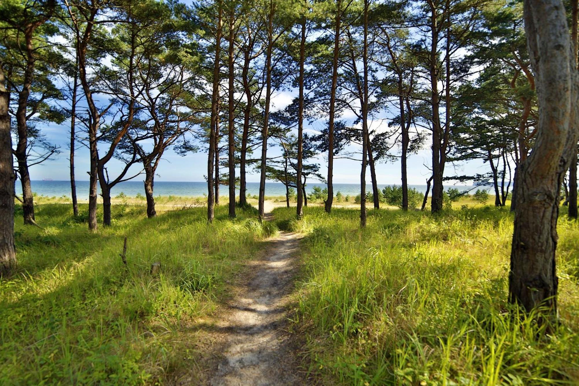 Apartment Sonnenschein Haus Hiddensee Prora Binz